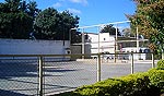 Desifetante para teste